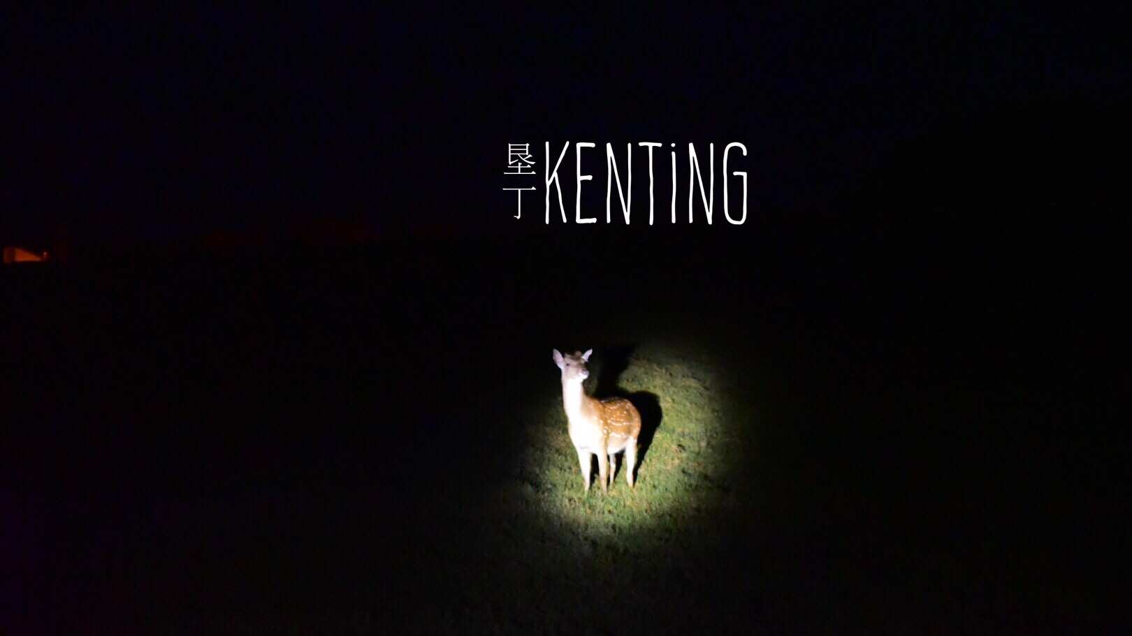 Kenting Night Deer Spot...